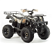 PROMAX ATV 250 (2025)